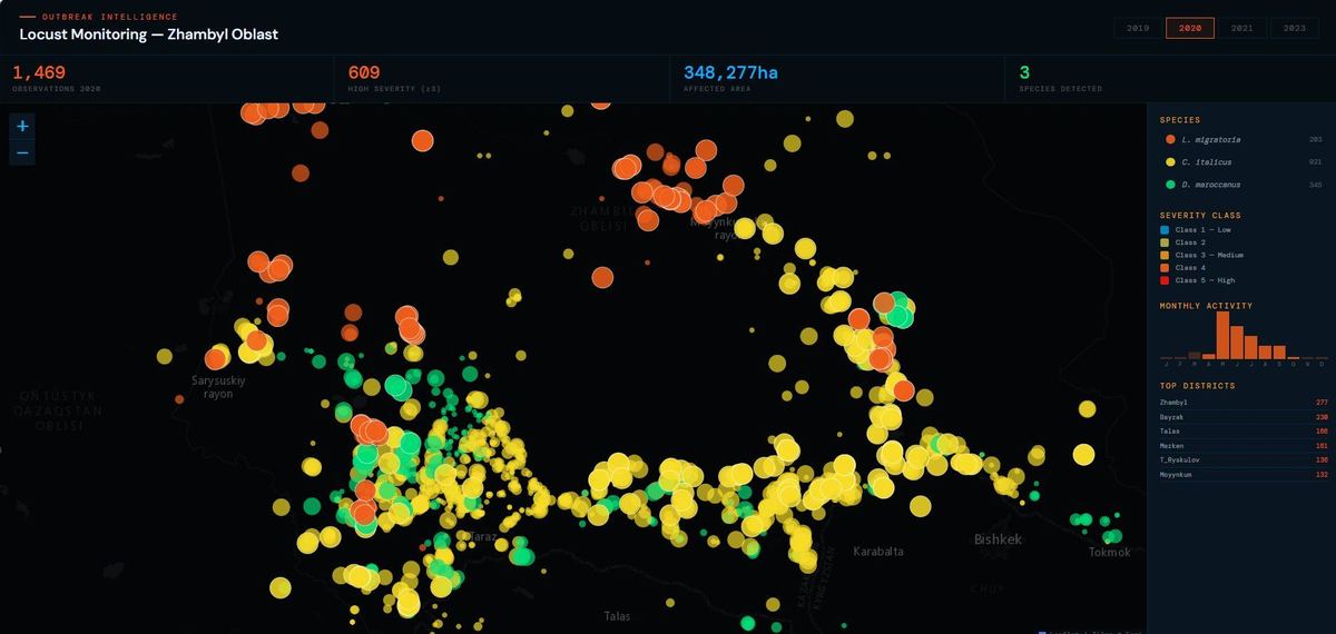 GEOBOX locust monitoring map of Zhambyl Oblast showing 1,469 observations by species and severity class across 348,277 hectares of affected area